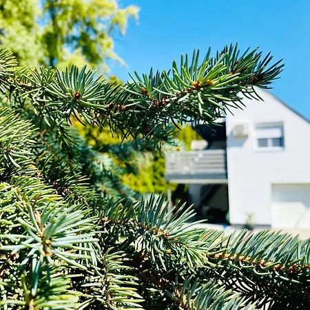 Vakantiehuis Maria Full House *